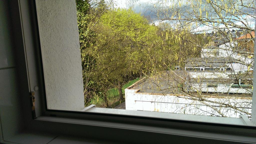 Ferienwohnung Loft Nagoldtal Pforzheim Exterior foto